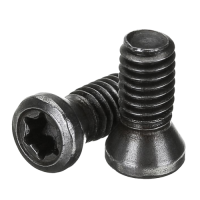 TS335 Torx screw 3.5x10mm