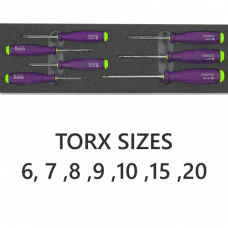 Torx keys 6, 7, 8, 9, 10, 15, 20 with rigid foam holder